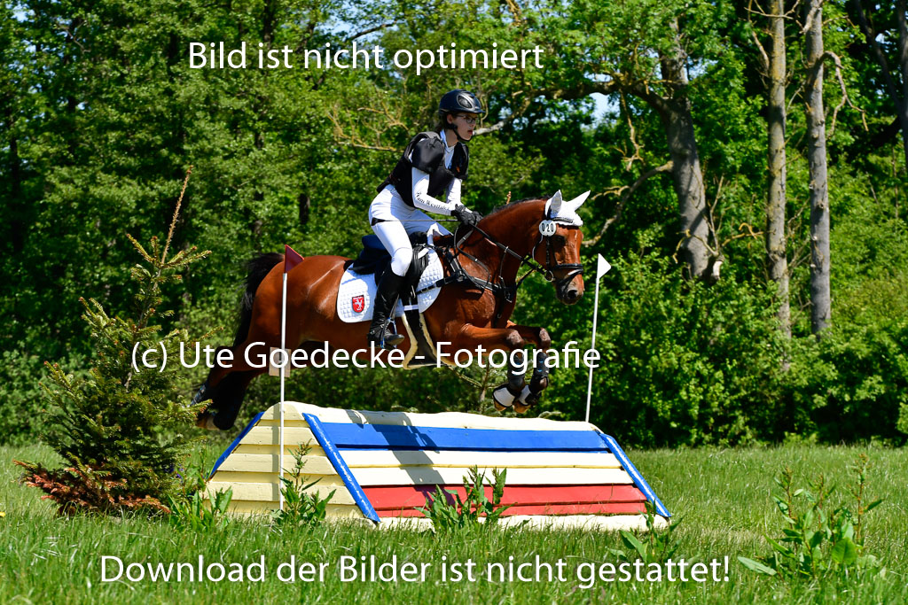 Goldene Schärpe Ponys in Hohen Luckow 1-4.6.23 | 04062023 Alicia Hebecke - Chilli Pepper_07 