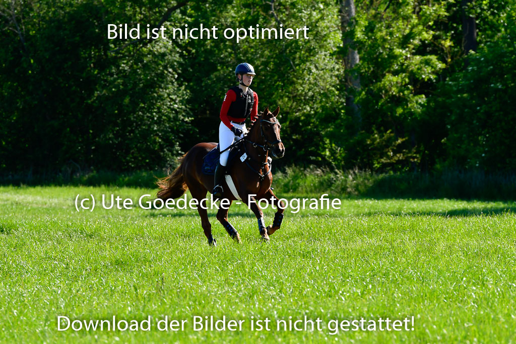 Goldene Schärpe Ponys in Hohen Luckow 1-4.6.23 | 04062023 Anna Hümmeler - Daily Motion_03 