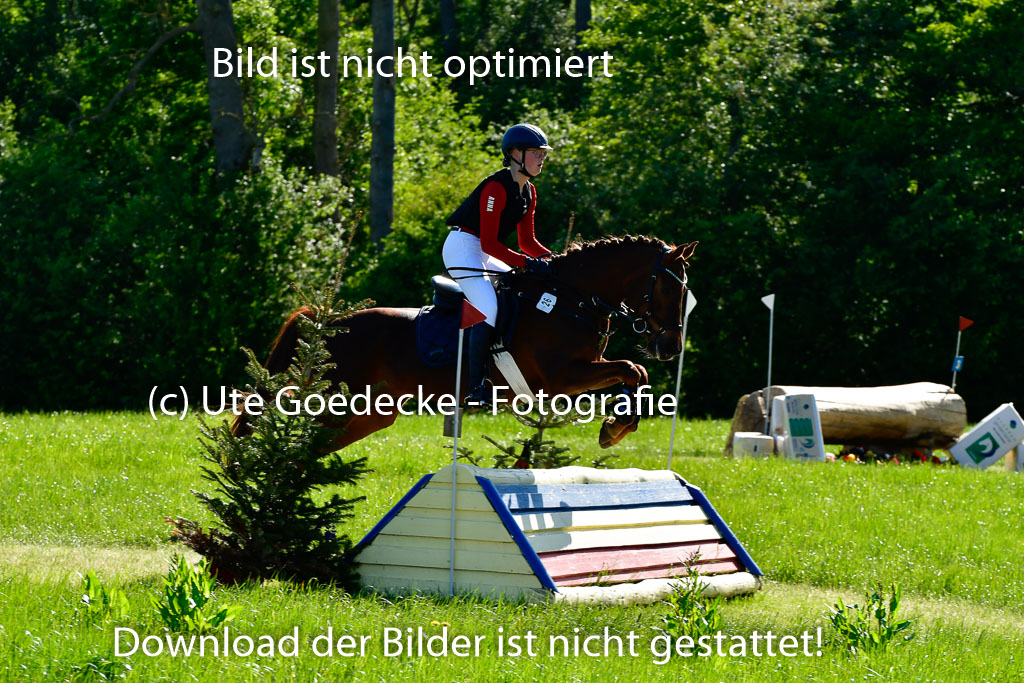 Goldene Schärpe Ponys in Hohen Luckow 1-4.6.23 | 04062023 Anna Hümmeler - Daily Motion_04 