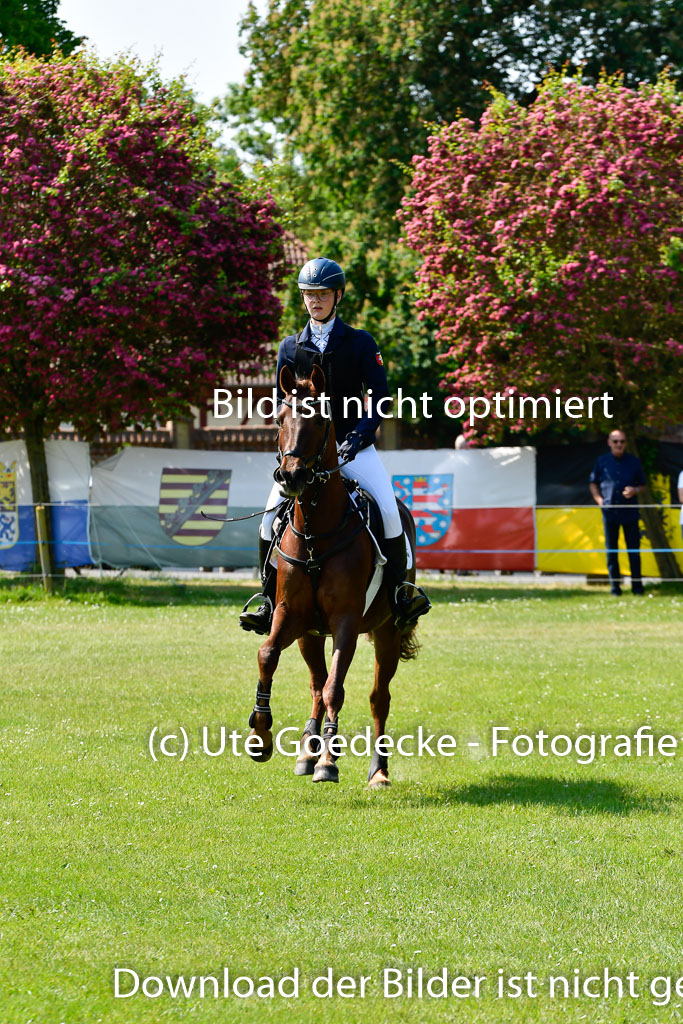 Goldene Schärpe Ponys in Hohen Luckow 1-4.6.23 | 04062023 Anna Hümmeler - Daily Motion_13 