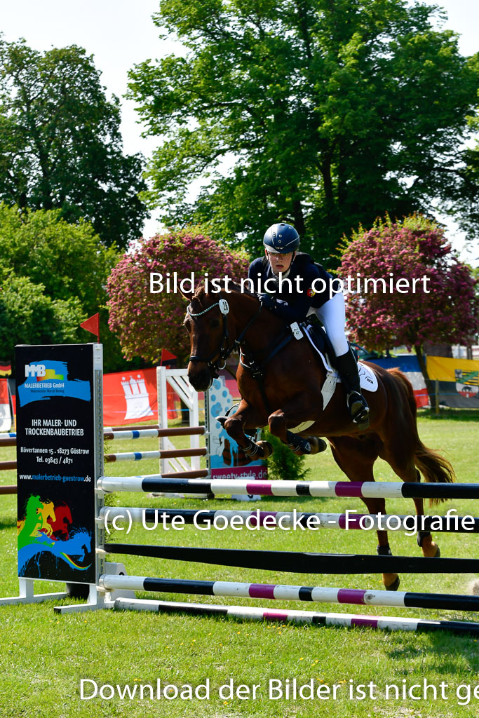 Goldene Schärpe Ponys in Hohen Luckow 1-4.6.23 | 04062023 Anna Hümmeler - Daily Motion_14