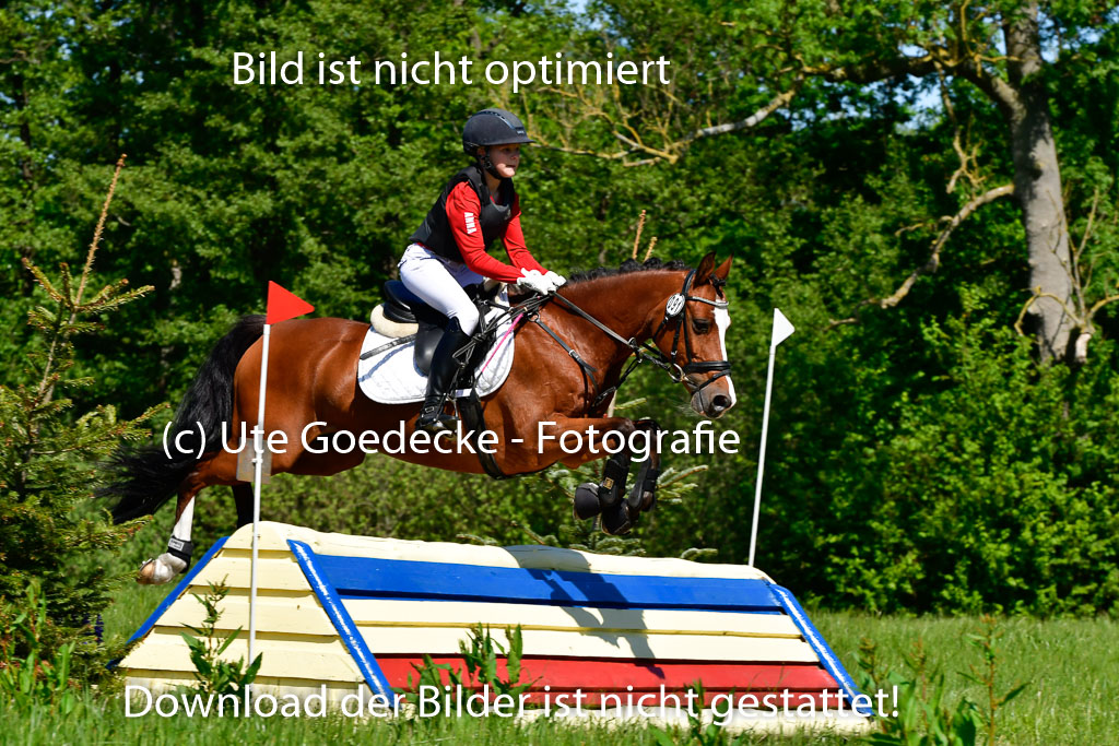 Goldene Schärpe Ponys in Hohen Luckow 1-4.6.23 | 04062023 Anna Kotschofsky - Quatmans Girl_01