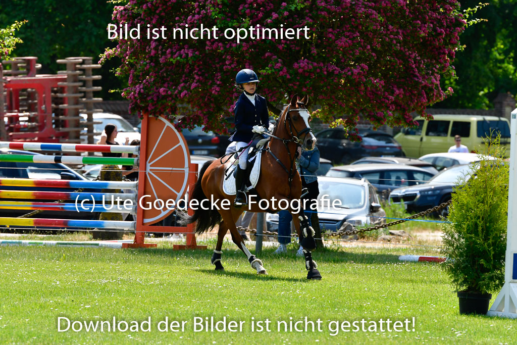 Goldene Schärpe Ponys in Hohen Luckow 1-4.6.23 | 04062023 Anna Kotschofsky -  Quatmans Girl_09 