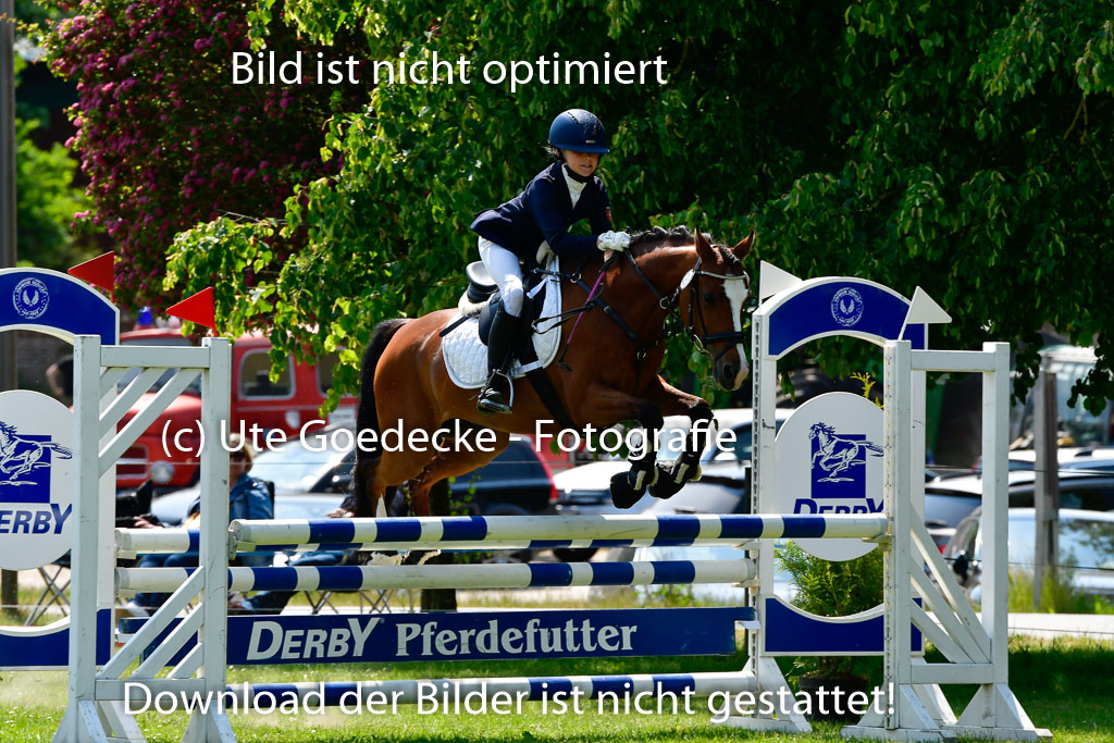 Goldene Schärpe Ponys in Hohen Luckow 1-4.6.23 | 04062023 Anna Kotschofsky -  Quatmans Girl_10 