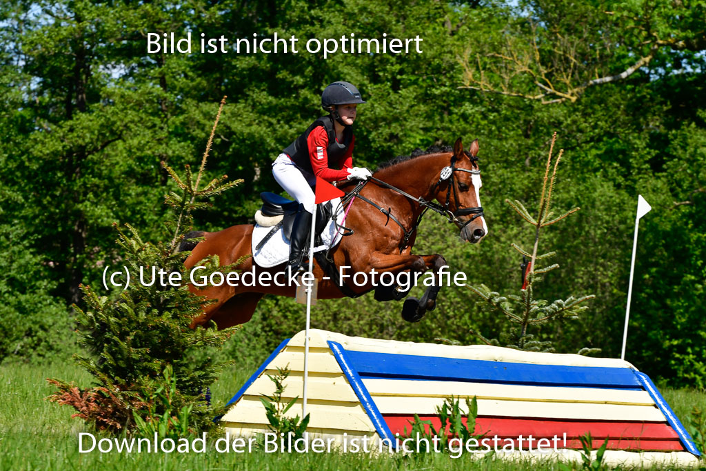 Goldene Schärpe Ponys in Hohen Luckow 1-4.6.23 | 04062023 Anna Kotschofsky -  Quatmans Girl_15 