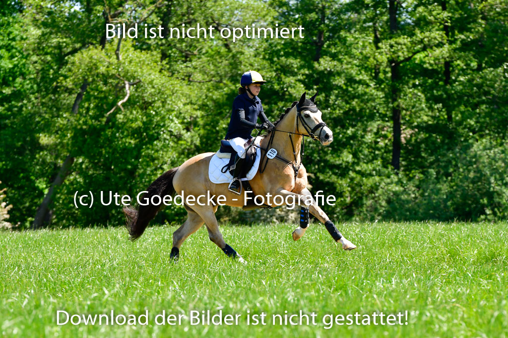 Goldene Schärpe Ponys in Hohen Luckow 1-4.6.23 | 04062023 Anna von Helldorf - Vespucci_07 