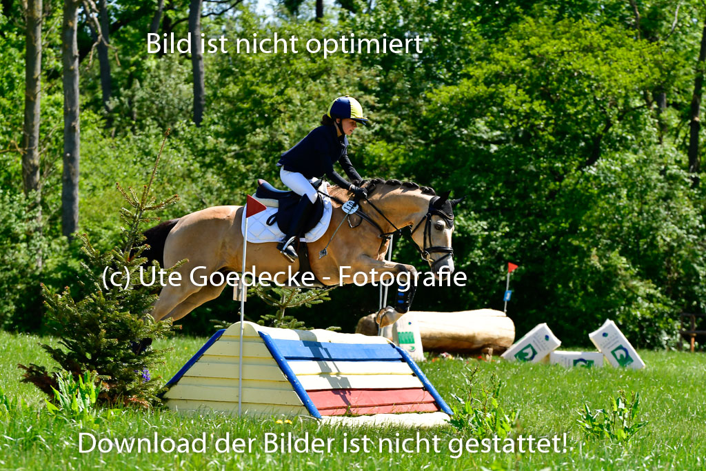 Goldene Schärpe Ponys in Hohen Luckow 1-4.6.23 | 04062023 Anna von Helldorf - Vespucci_08 