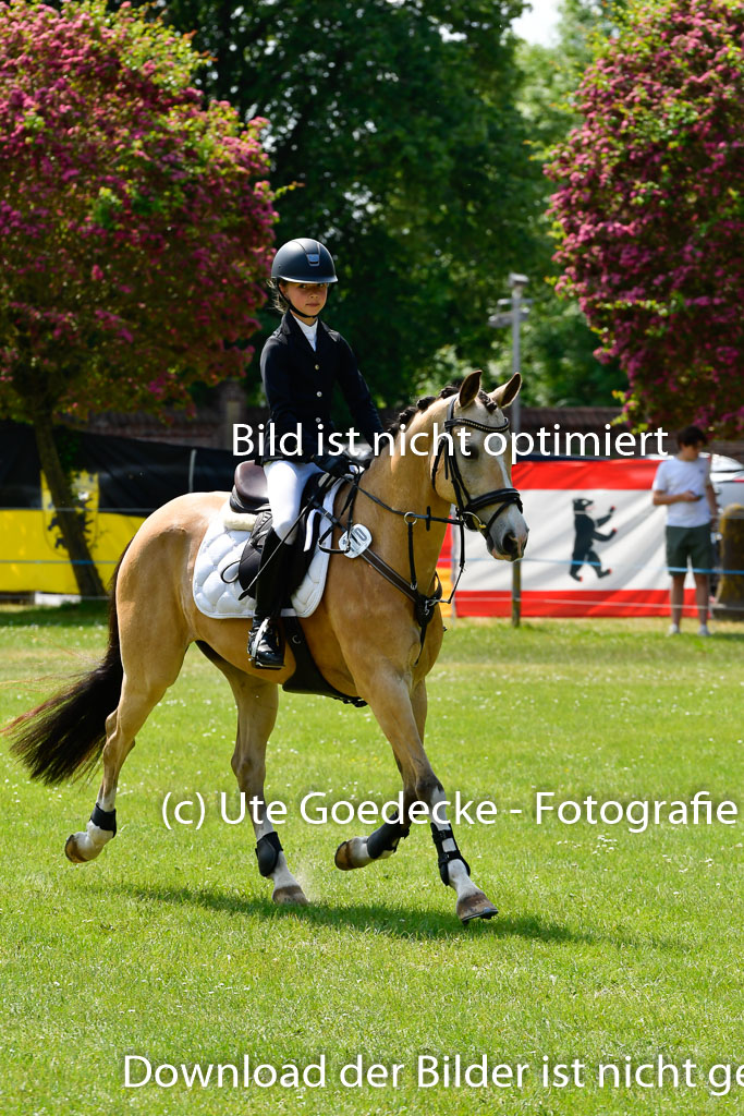 Goldene Schärpe Ponys in Hohen Luckow 1-4.6.23 | 04062023 Anna von Helldorf - Vespucci_17