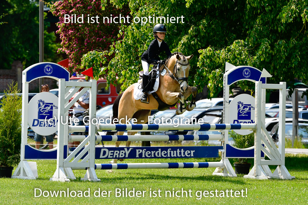 Goldene Schärpe Ponys in Hohen Luckow 1-4.6.23 | 04062023 Anna von Helldorf - Vespucci_25 