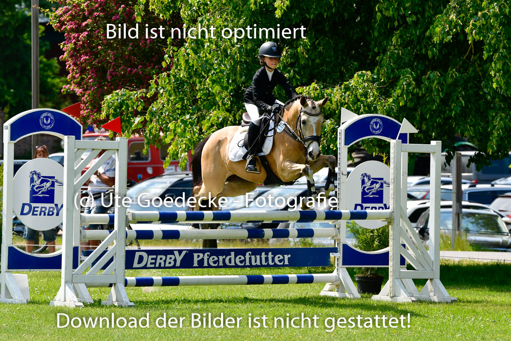 Goldene Schärpe Ponys in Hohen Luckow 1-4.6.23 | 04062023 Anna von Helldorf - Vespucci_26 