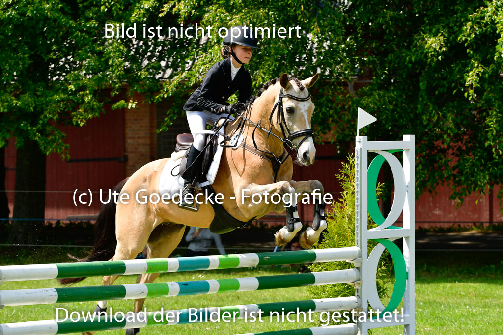 Goldene Schärpe Ponys in Hohen Luckow 1-4.6.23 | 04062023 Anna von Helldorf - Vespucci_27