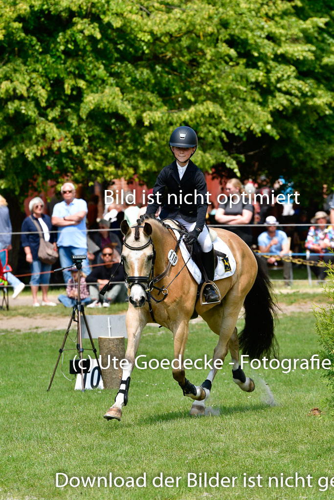 Goldene Schärpe Ponys in Hohen Luckow 1-4.6.23 | 04062023 Anna von Helldorf - Vespucci_33 