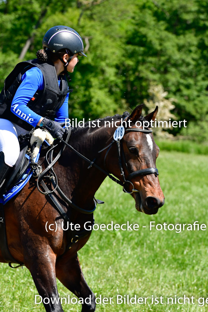 Goldene Schärpe Ponys in Hohen Luckow 1-4.6.23 | 04062023 Annie Teusch - cherie_02