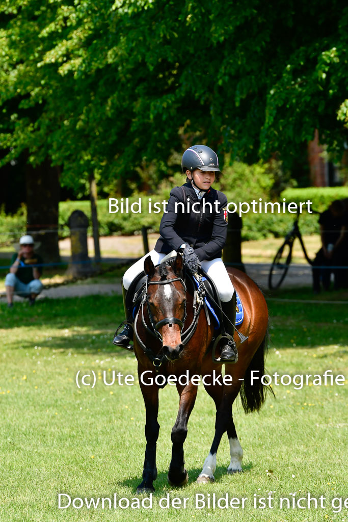 Goldene Schärpe Ponys in Hohen Luckow 1-4.6.23 | 04062023  Annie Teusch - cherie_26 