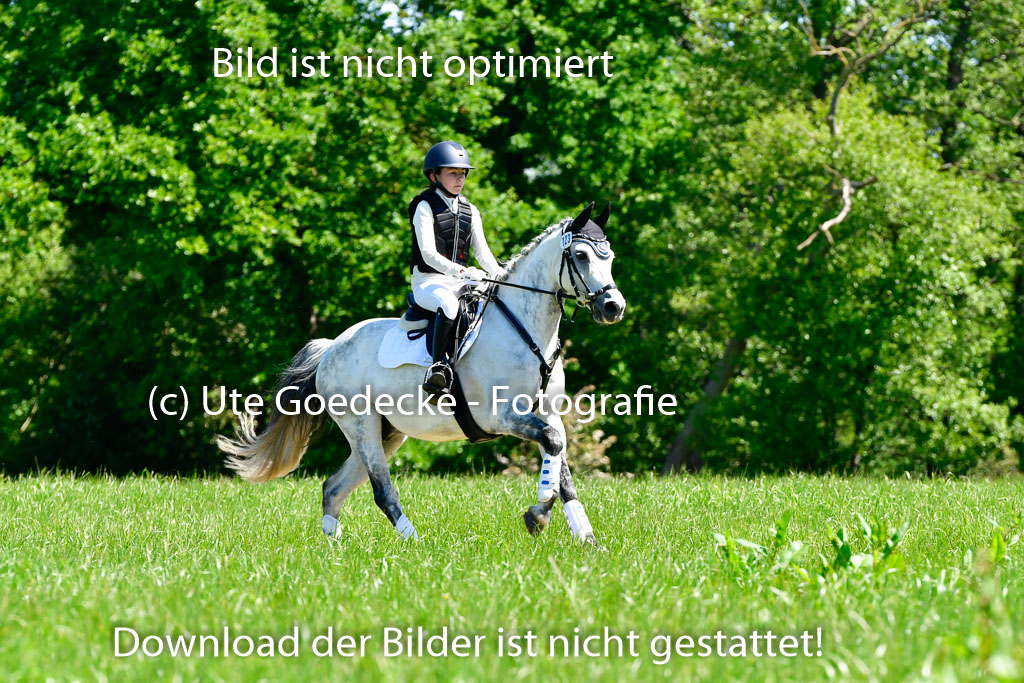 Goldene Schärpe Ponys in Hohen Luckow 1-4.6.23 | 04062023 Antonia Schöning - kaiser_08 