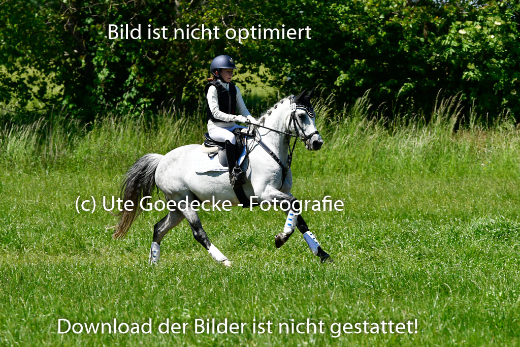 Goldene Schärpe Ponys in Hohen Luckow 1-4.6.23 | 04062023 Antonia Schöning - kaiser_11 