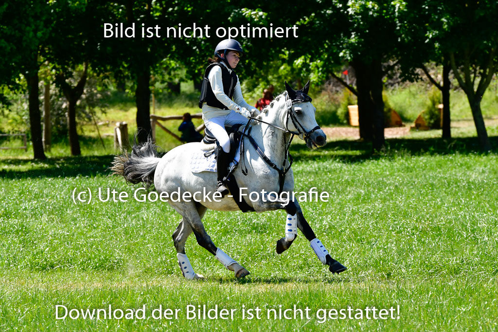 Goldene Schärpe Ponys in Hohen Luckow 1-4.6.23 | 04062023 Antonia Schöning - kaiser_19 