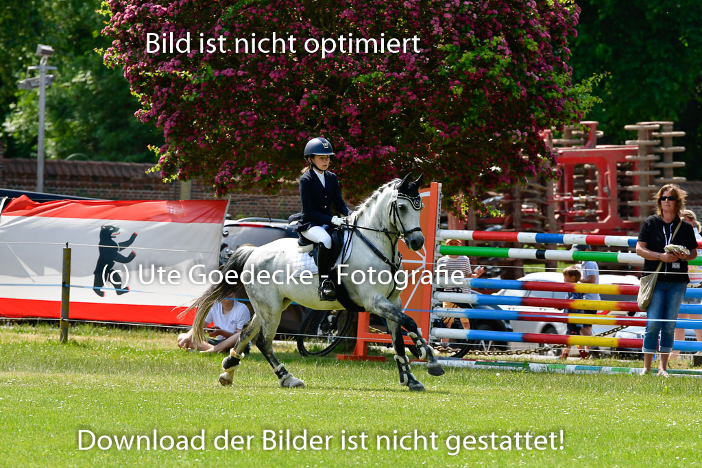 Goldene Schärpe Ponys in Hohen Luckow 1-4.6.23 | 04062023 Antonia Schöning - kaiser_26 