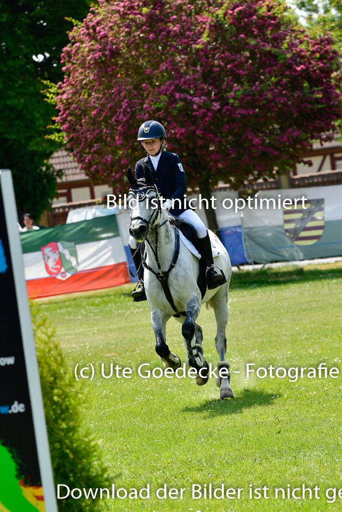 Goldene Schärpe Ponys in Hohen Luckow 1-4.6.23 | 04062023 Antonia Schöning - kaiser_34 