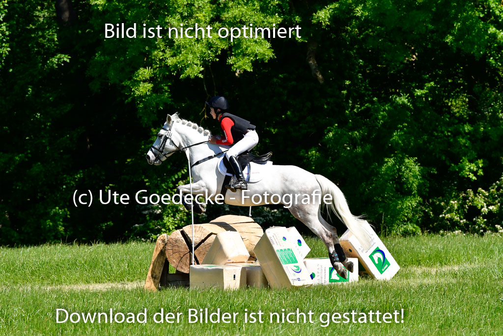 Goldene Schärpe Ponys in Hohen Luckow 1-4.6.23 | 04062023 Carl Ziska - Little Lucky_03 