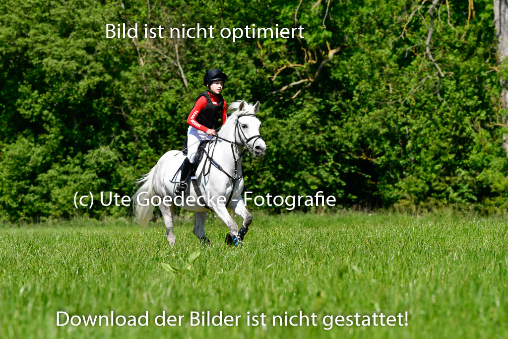 Goldene Schärpe Ponys in Hohen Luckow 1-4.6.23 | 04062023 Carl Ziska - Little Lucky_05 