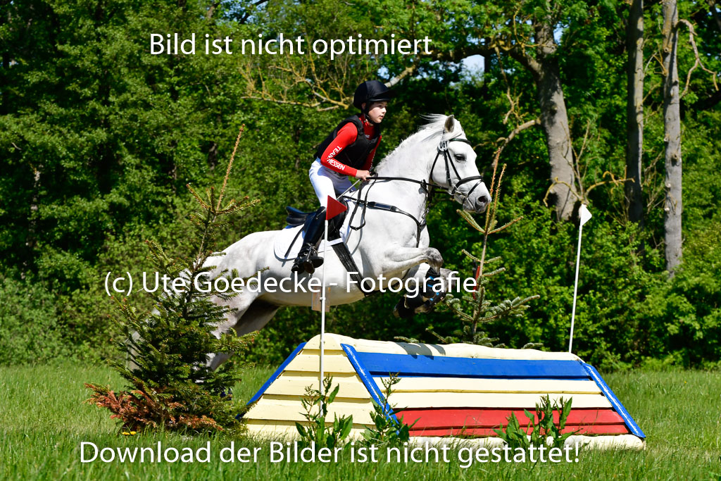 Goldene Schärpe Ponys in Hohen Luckow 1-4.6.23 | 04062023 Carl Ziska - Little Lucky_06