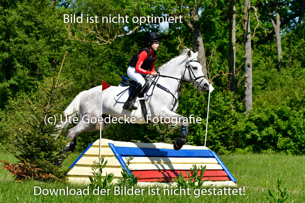 Goldene Schärpe Ponys in Hohen Luckow 1-4.6.23 | 04062023 Carl Ziska - Little Lucky_07 