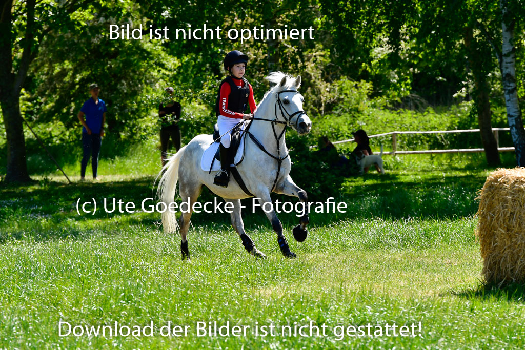 Goldene Schärpe Ponys in Hohen Luckow 1-4.6.23 | 04062023 Carl Ziska - Little Lucky_12 