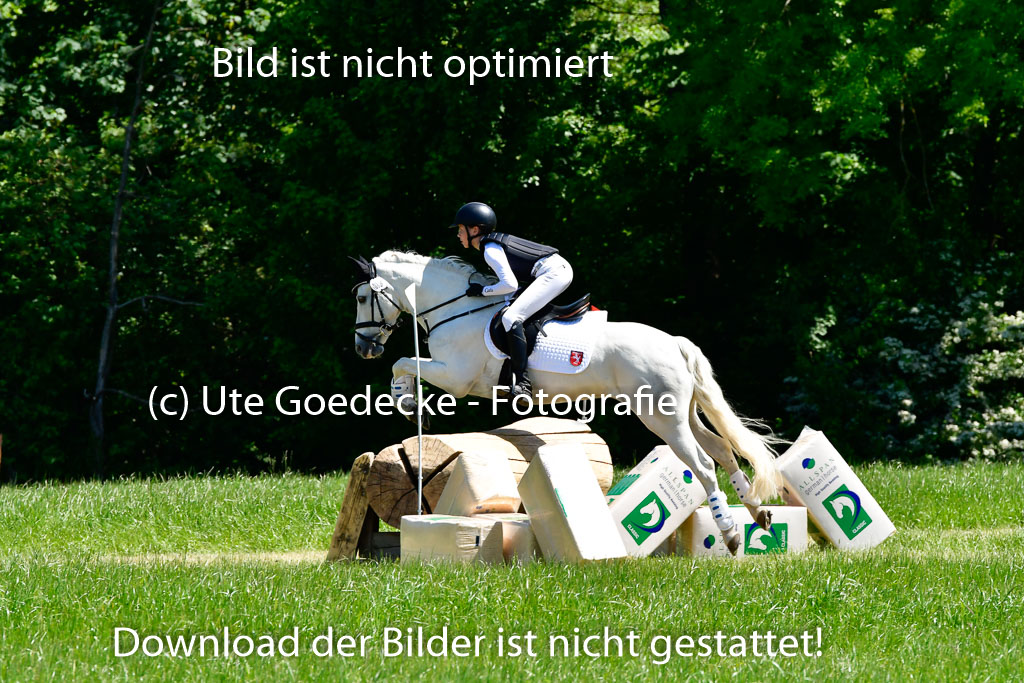Goldene Schärpe Ponys in Hohen Luckow 1-4.6.23 | 04062023 Carla Lindner - Pen Y_05