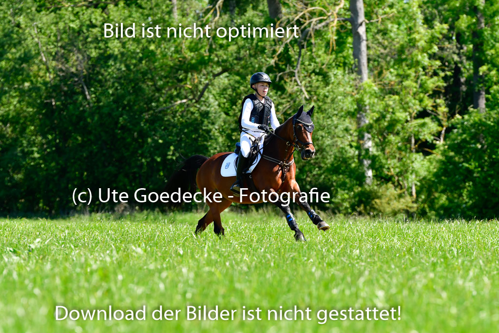 Goldene Schärpe Ponys in Hohen Luckow 1-4.6.23 | 04062023 Caspar Schmidt  - Beauty_02 