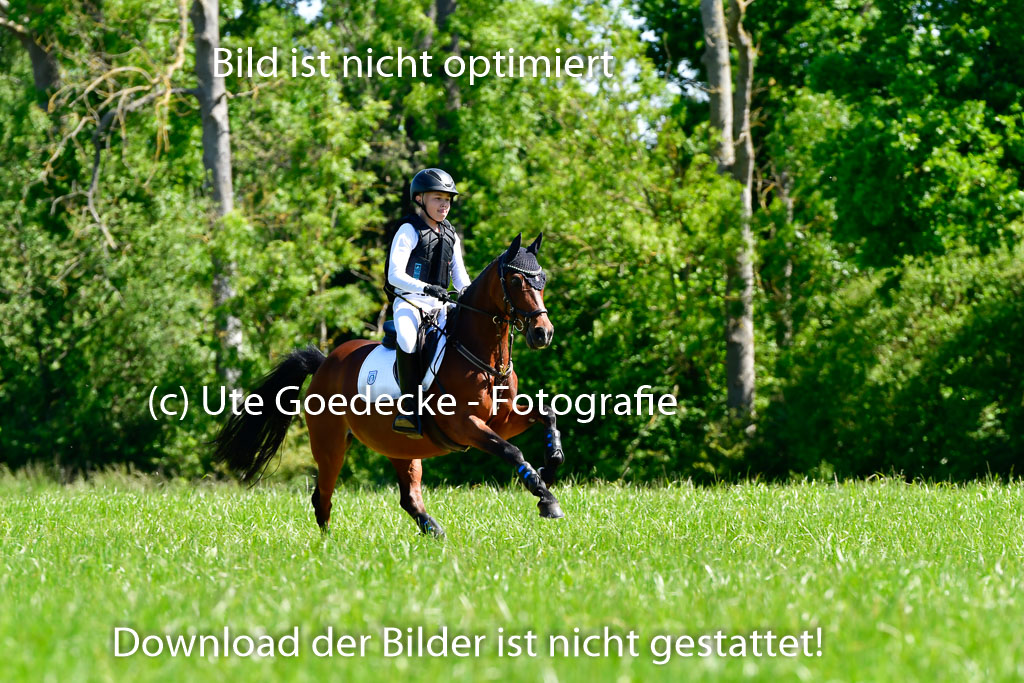 Goldene Schärpe Ponys in Hohen Luckow 1-4.6.23 | 04062023 Caspar Schmidt  - Beauty_03 