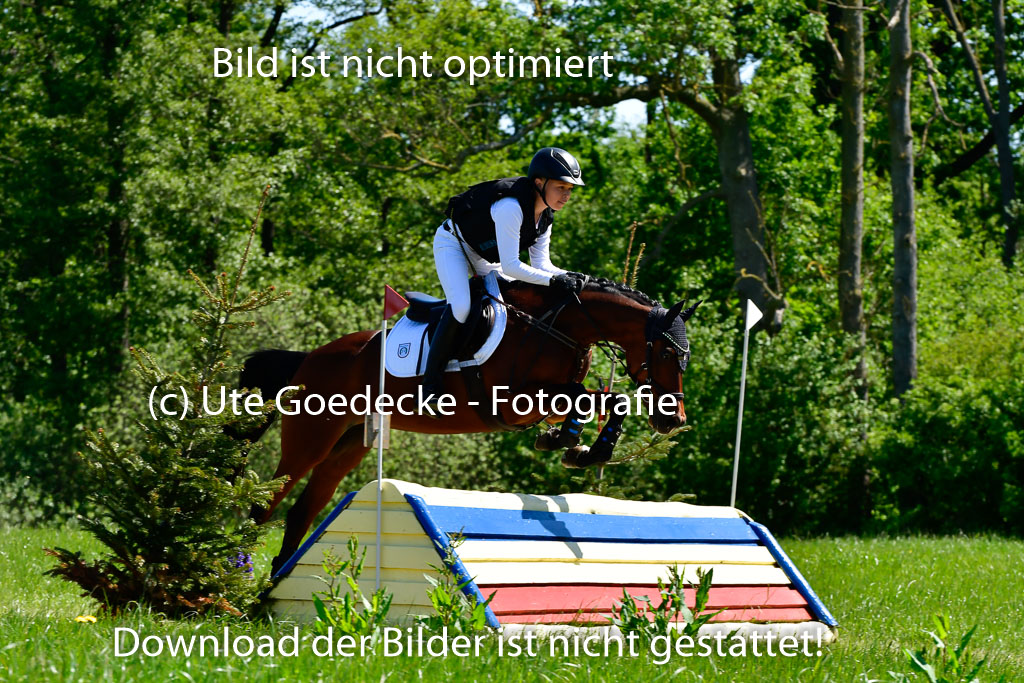 Goldene Schärpe Ponys in Hohen Luckow 1-4.6.23 | 04062023 Caspar Schmidt  - Beauty_05 