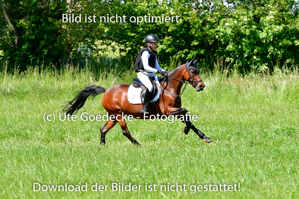 Goldene Schärpe Ponys in Hohen Luckow 1-4.6.23 | 04062023 Caspar Schmidt  - Beauty_06 