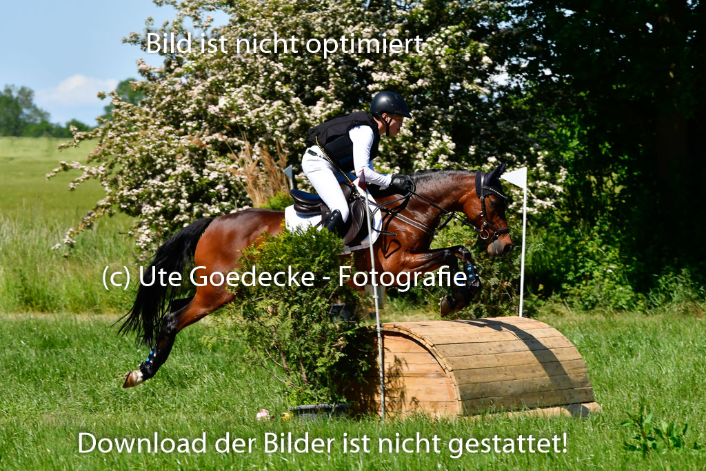 Goldene Schärpe Ponys in Hohen Luckow 1-4.6.23 | 04062023 Caspar Schmidt  - Beauty_10 