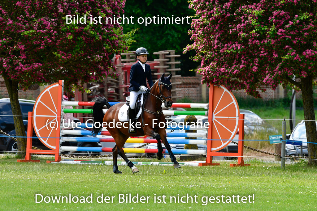 Goldene Schärpe Ponys in Hohen Luckow 1-4.6.23 | 04062023 Caspar Schmidt  - Beauty_17 