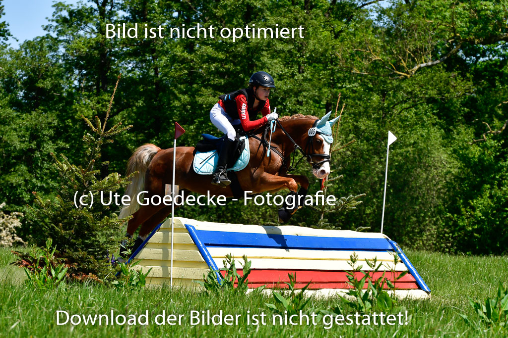 Goldene Schärpe Ponys in Hohen Luckow 1-4.6.23 | 04062023 Charlotte Eilers - Best Dancer _06 