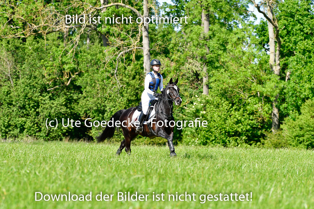 Goldene Schärpe Ponys in Hohen Luckow 1-4.6.23 | 04062023 Charlotte Rinsche - Blockbuster_10 