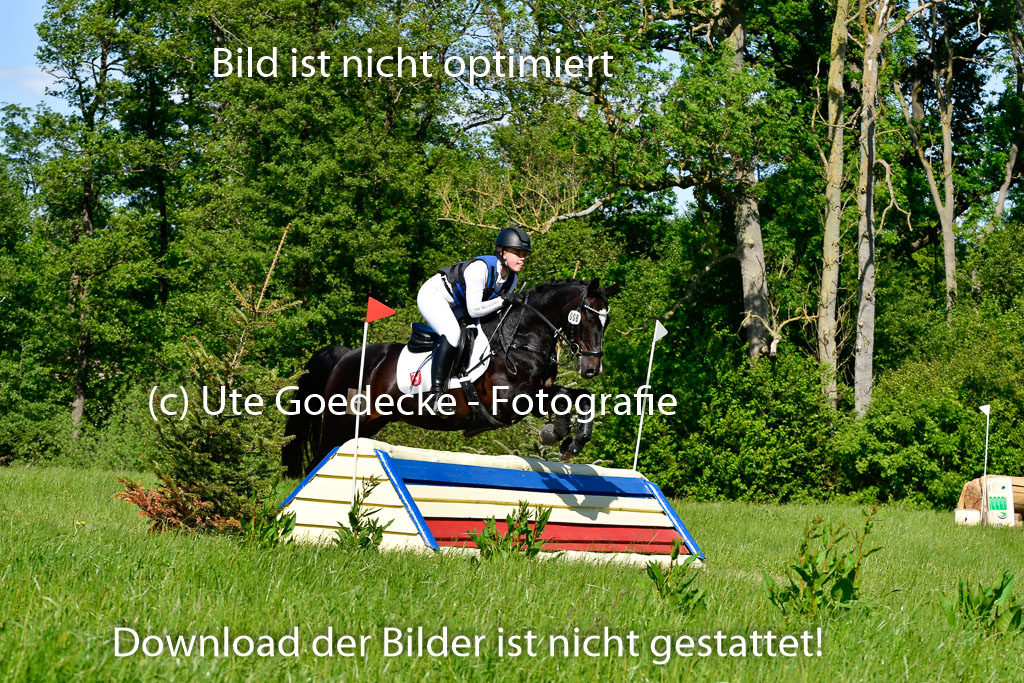 Goldene Schärpe Ponys in Hohen Luckow 1-4.6.23 | 04062023 Charlotte Rinsche - Blockbuster_12 