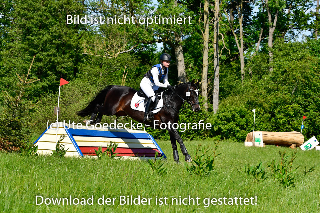 Goldene Schärpe Ponys in Hohen Luckow 1-4.6.23 | 04062023 Charlotte Rinsche - Blockbuster_13 