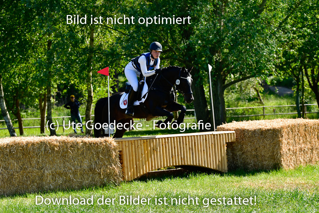 Goldene Schärpe Ponys in Hohen Luckow 1-4.6.23 | 04062023 Charlotte Rinsche - Blockbuster_16 