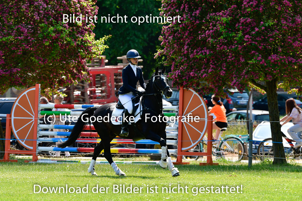 Goldene Schärpe Ponys in Hohen Luckow 1-4.6.23 | 04062023 Charlotte Rinsche - Blockbuster_24 