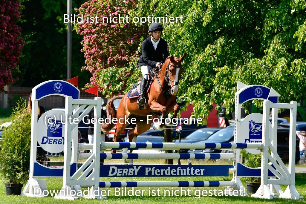 Goldene Schärpe Ponys in Hohen Luckow 1-4.6.23 | 04062023 Cornelius Spör - Abrakadabra_5 