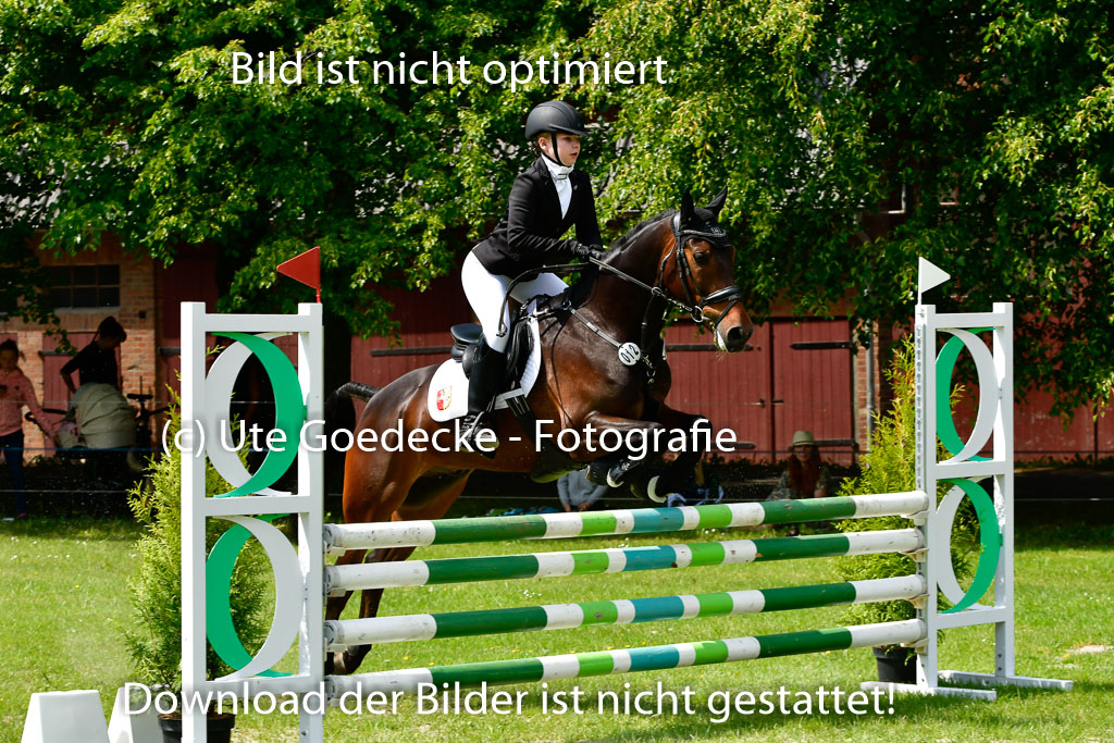 Goldene Schärpe Ponys in Hohen Luckow 1-4.6.23 | 04062023 Emma Triphauds - Calle Cool_24 