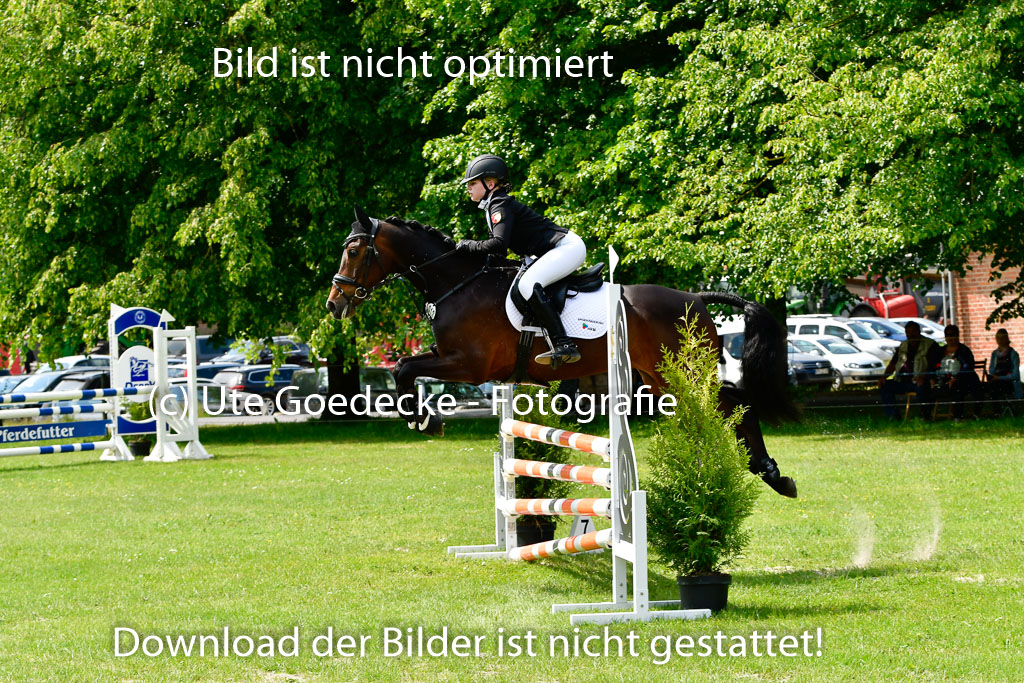 Goldene Schärpe Ponys in Hohen Luckow 1-4.6.23 | 04062023 Emma Triphauds - Calle Cool_26 