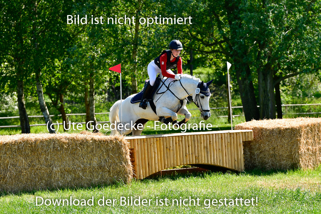 Goldene Schärpe Ponys in Hohen Luckow 1-4.6.23 | 04062023 Eva Kotschovsky - Cinderella_10 