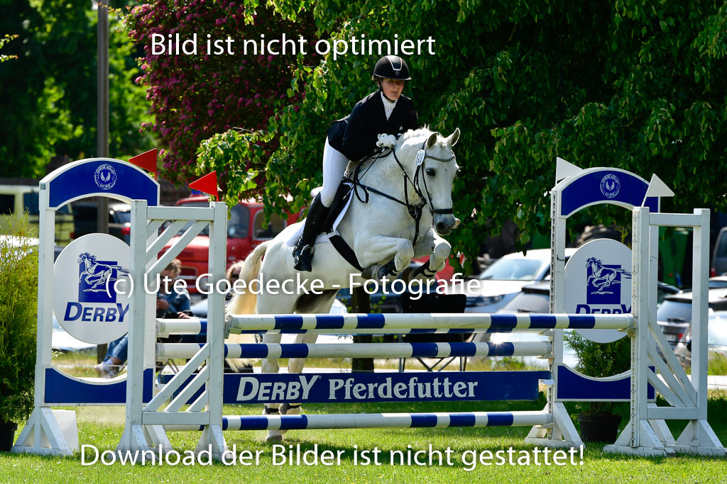 Goldene Schärpe Ponys in Hohen Luckow 1-4.6.23 | 04062023 Eva Kotschovsky - Cinderella_19 