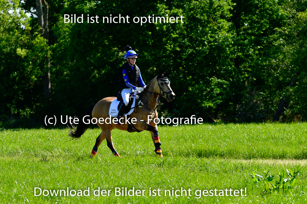 Goldene Schärpe Ponys in Hohen Luckow 1-4.6.23 | 04062023 Felicitas Leicht - Virginia_08 