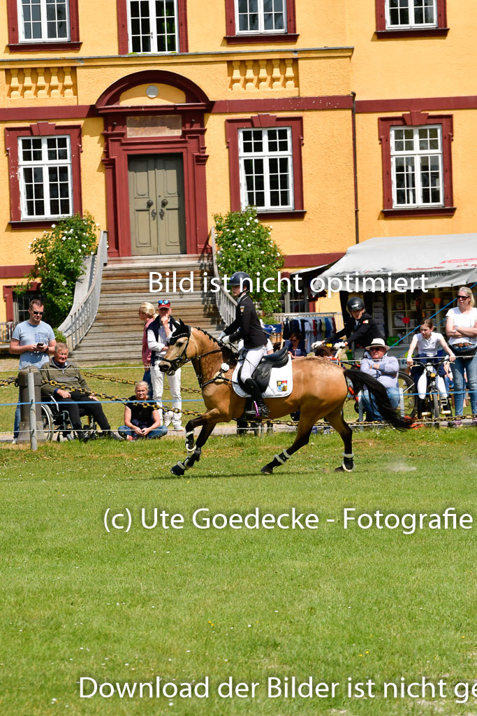 Goldene Schärpe Ponys in Hohen Luckow 1-4.6.23 | 04062023 Felicitas Leicht - Virginia_25 