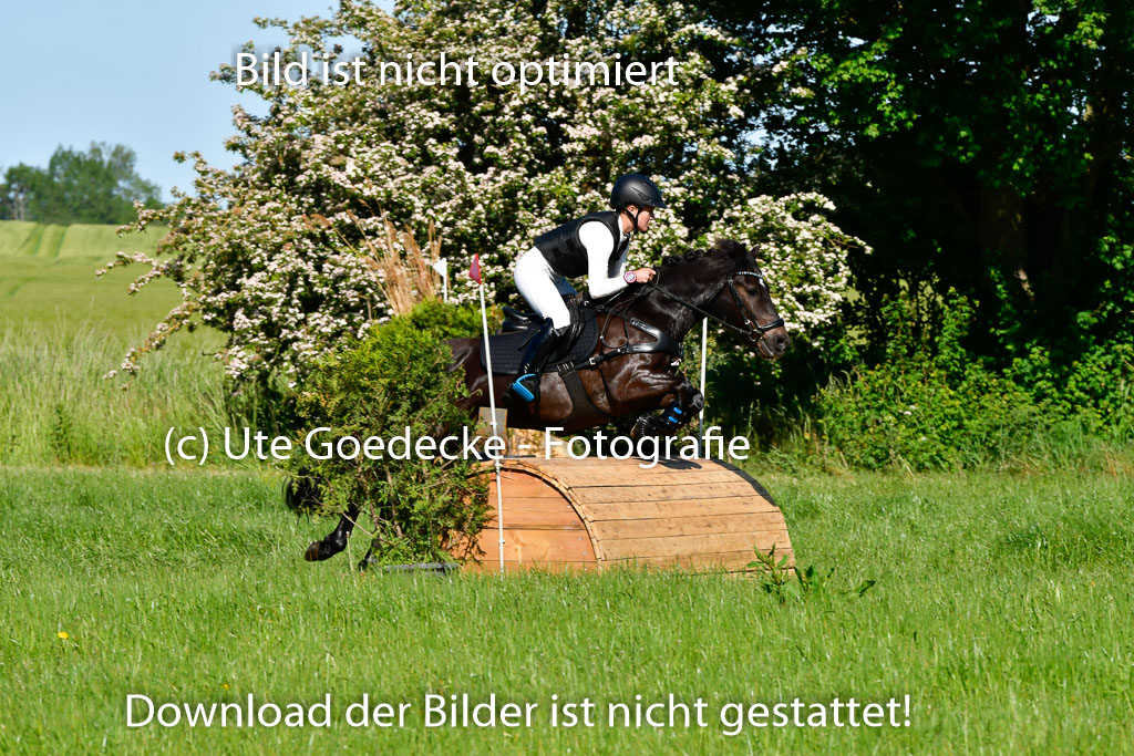 Goldene Schärpe Ponys in Hohen Luckow 1-4.6.23 | 04062023 Felicity werner - Ostwind_10 