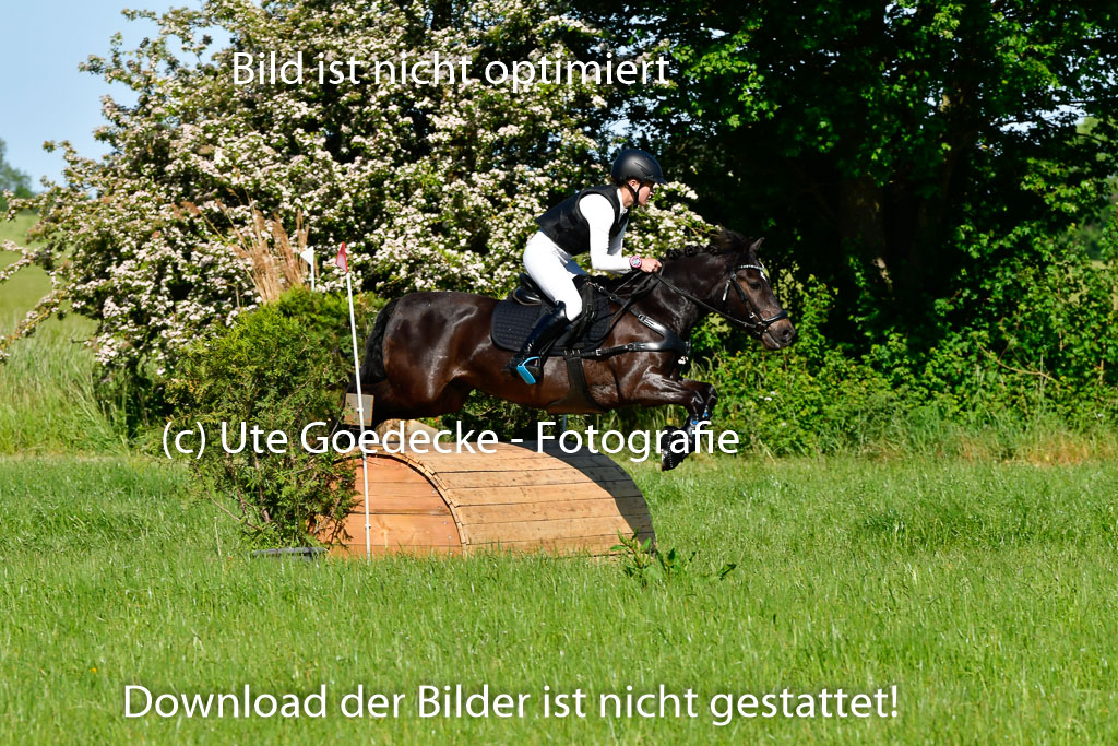 Goldene Schärpe Ponys in Hohen Luckow 1-4.6.23 | 04062023 Felicity werner - Ostwind_11 